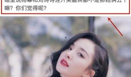 刘诗诗漫画爆料视频,揭秘明星幕后生活点滴