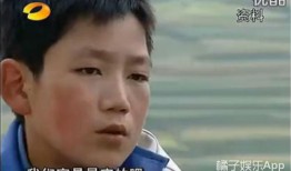 娱乐吃瓜酱大山里,娱乐吃瓜酱的神秘之旅